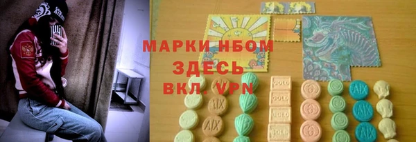ГАЛЛЮЦИНОГЕННЫЕ ГРИБЫ Елабуга