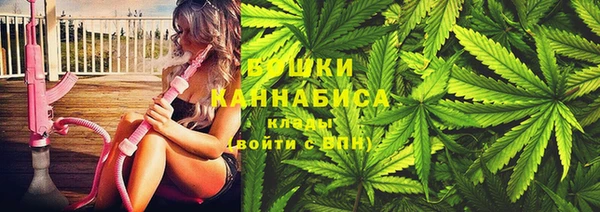 ГАЛЛЮЦИНОГЕННЫЕ ГРИБЫ Елабуга