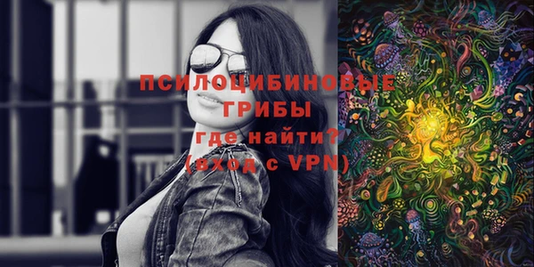 гидропоника Елизово