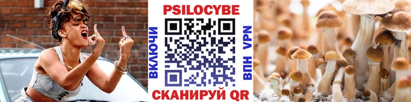 Галлюциногенные грибы прущие грибы  Светогорск 